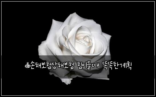 db손해보험상해보험 힘이들때 똑똑한계획