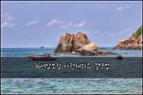 36세암보험 마련해봐요  절약법