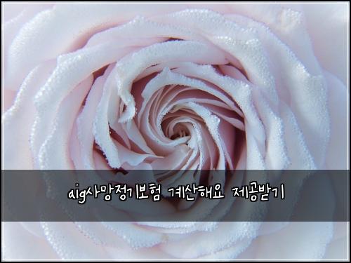 aig사망정기보험 계산해요  제공받기