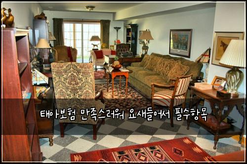 태아보험 만족스러워  요새들어서 필수항목