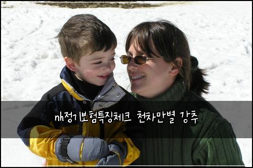 nh정기보험특징체크 천차만별 강추