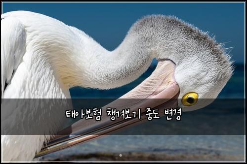 태아보험 챙겨보기  중도 변경
