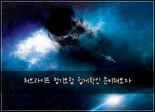 처브라이프 정기보험 쉽게확인  준비해보자