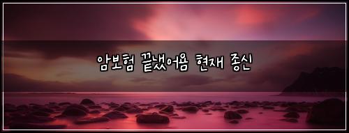 ์๋ณดํ ๋๋์ด์ค ํ์ฌ ์ข
์