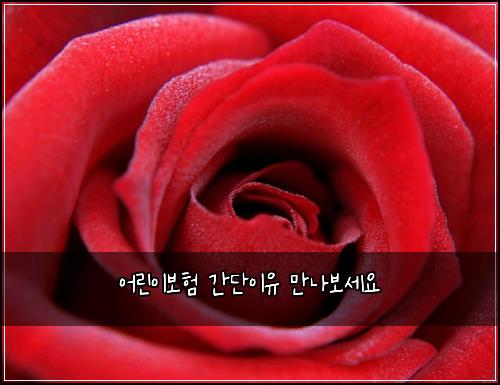 어린이보험 간단이유  만나보세요