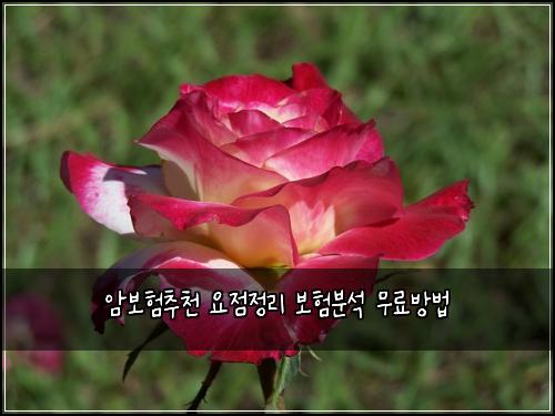 ์๋ณดํ์ถ์ฒ ์์ ์ ๋ฆฌ ๋ณดํ๋ถ์ ๋ฌด๋ฃ๋ฐฉ๋ฒ