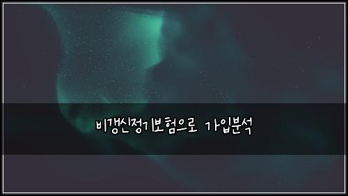비갱신정기보험으로 가입분석