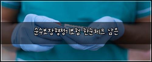 순수보장형정기보험 한눈체크  남은