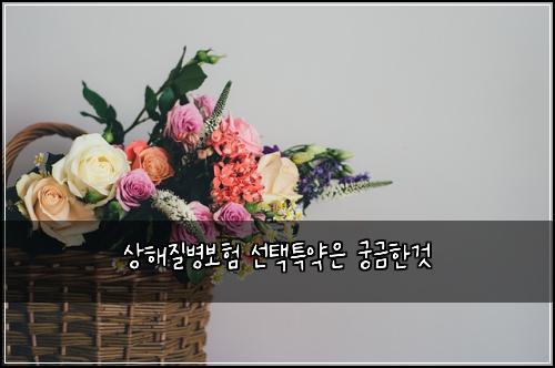 상해질병보험 선택특약은  궁금한것
