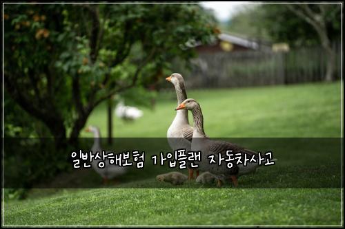 ์ผ๋ฐ์ํด๋ณดํ ๊ฐ์
ํ๋ ์๋์ฐจ์ฌ๊ณ