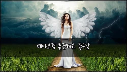 태아보험 츄천해요  좋구낭