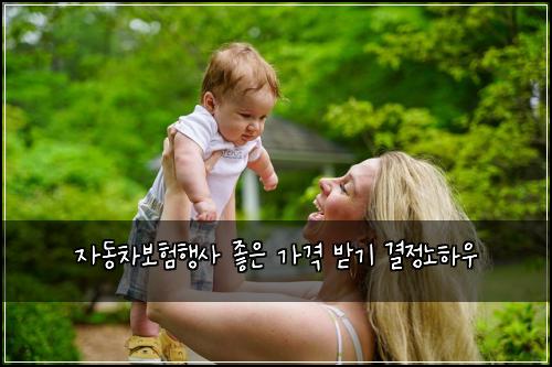 자동차보험행사 좋은 가격 받기 결정노하우