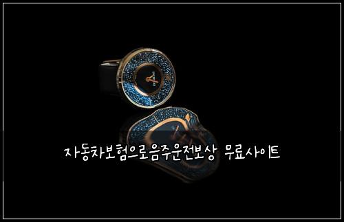 자동차보험으로음주운전보상 무료사이트