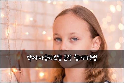 ์
์ธ์๋์ฐจ๋ณดํ ๋ถ์ ์ฝ๊ฒํ๋๋ฒ