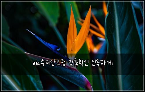 aia슈퍼암보험 맞춤확인  신속하게