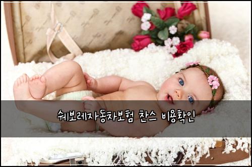 ์๋ณด๋ ์๋์ฐจ๋ณดํ ์ฐฌ์ค ๋น์ฉํ์ธ