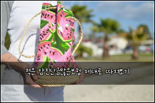 적은 암진단금많은보험 제대로 따져보기