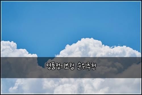명품정기보험 순위추천 
