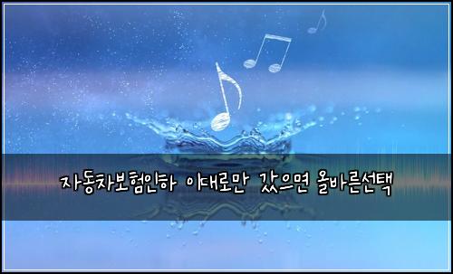 자동차보험인하 이대로만 갔으면 올바른선택
