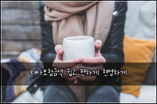 태아보험금액 쉽고 편하게 현명하게