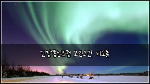 건강종신보험 고민그만  비교몰