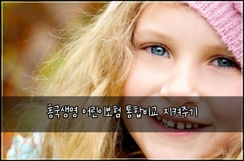 흥국생명 어린이보험 통합비교  지켜주기