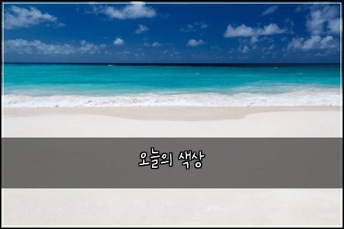 오늘의 색상