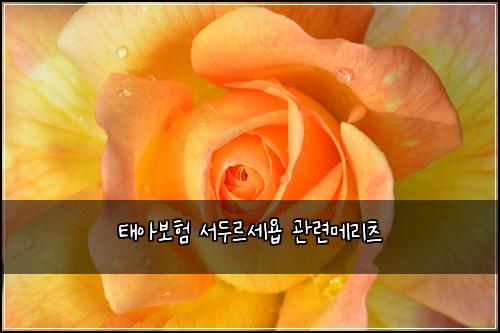 태아보험 서두르세욥  관련메리츠