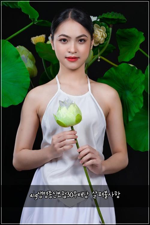 aig생명종신보험30무배당 살펴볼사항