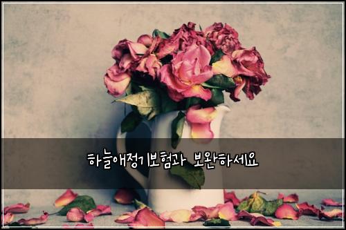 하늘애정기보험과 보완하세요