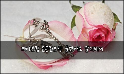 태아보험 든든한보장  들었어요 달리해서