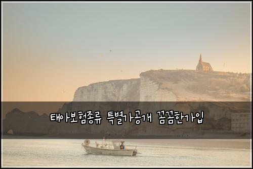 태아보험종류 특별가공개 꼼꼼한가입