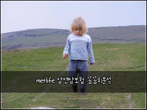 metlife ์์์๋ณดํ ๊ผผ๊ผผํ๋ถ์