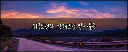 귀국보험과 상해보험 알아볼곳