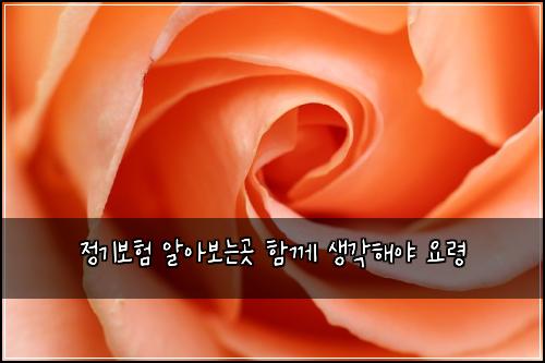 정기보험 알아보는곳  함께 생각해야 요령