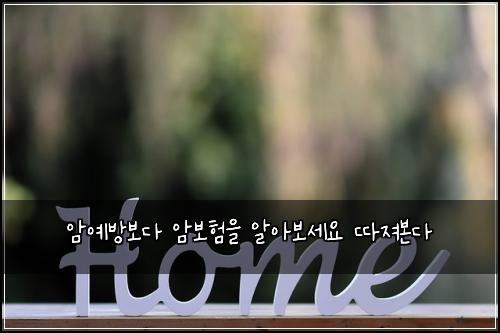 암예방보다 암보험을 알아보세요 따져본다