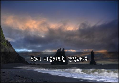 50대 자동차보험 견적노하우 