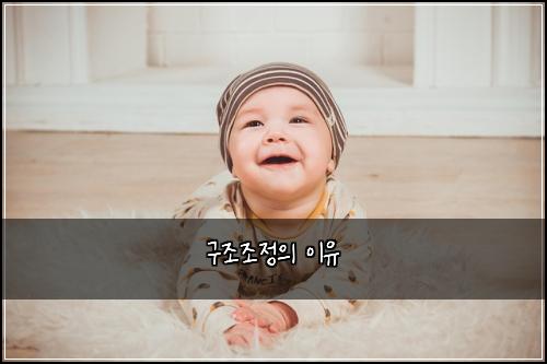 구조조정의 이유