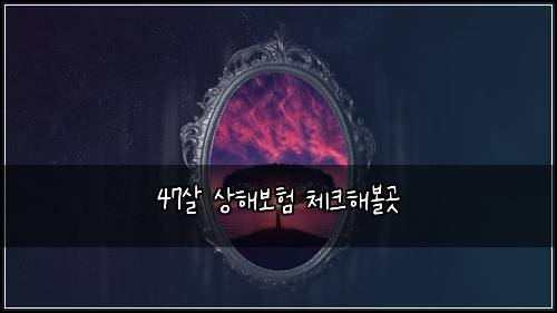 47์ด ์ํด๋ณดํ ์ฒดํฌํด๋ณผ๊ณณ
