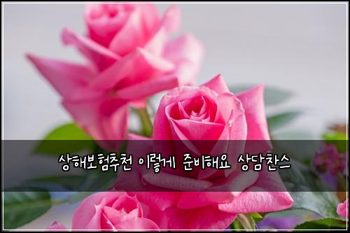 상해보험추천 이렇게 준비해요 상담찬스