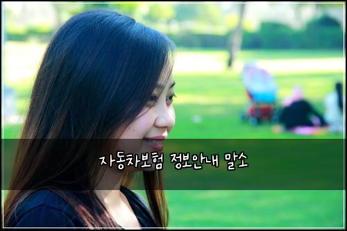 자동차보험 정보안내  말소