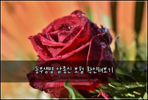 ๋๋ถ์๋ช
์์ข
์ ๋ณดํ ํ์ธํด๋ณด๊ธฐ