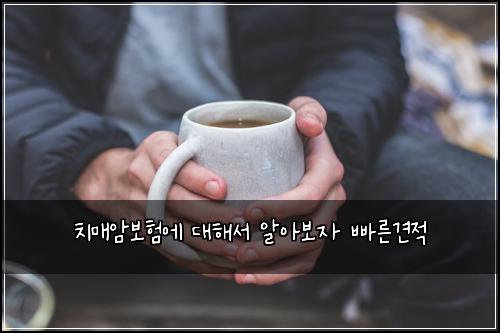 치매암보험에 대해서 알아보자 빠른견적