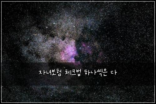 ์๋
๋ณดํ ์ฒดํฌ๋ฒ ํ๋์ฉ์ ๋ค