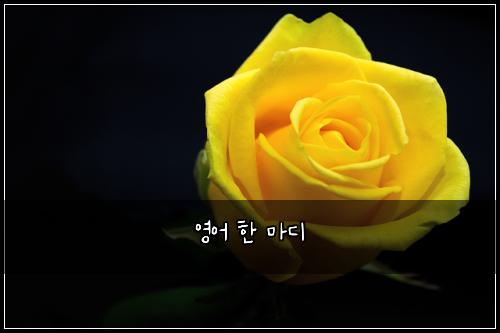 ์์ด ํ ๋ง๋