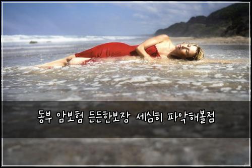 ๋๋ถ ์๋ณดํ ๋ ๋ ํ๋ณด์ฅ ์ธ์ฌํ ํ์
ํด๋ณผ์ 