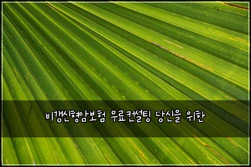 비갱신형암보험 무료컨설팅  당신을 위한