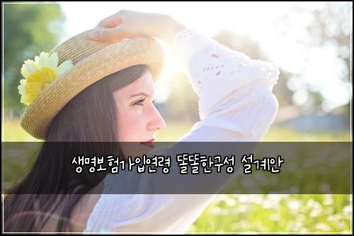 ์๋ช
๋ณดํ๊ฐ์
์ฐ๋ น ๋๋ํ๊ตฌ์ฑ ์ค๊ณ์