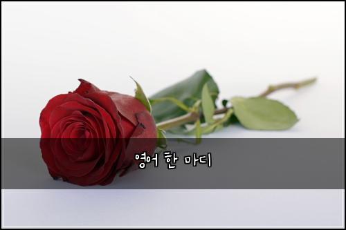 ์์ด ํ ๋ง๋