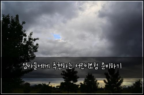엄마들에게 추천하는 어린이보험 준비하기